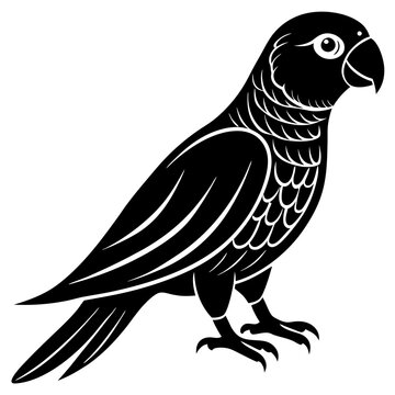 recommend clip art: Conure silhouette vector illustration