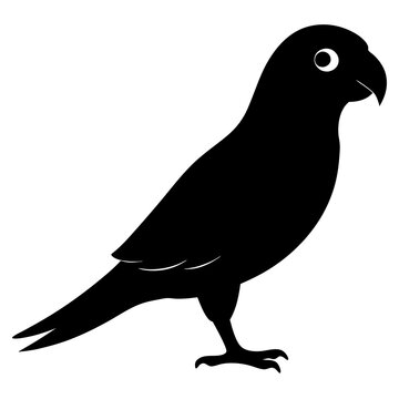 recommend clip art: Conure silhouette vector illustration