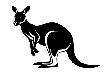 kangaroo vector illustration