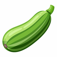 Art Nouveau Zucchini Vector on White Background