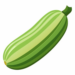 Art Nouveau Zucchini Vector on White Background