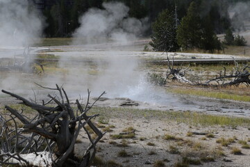 Geysers in Yellowstone National Park, Wyoming