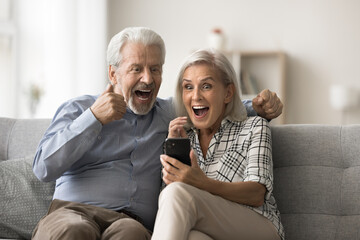 Overjoyed mature spouses sit on sofa read sms on smartphone, clenched their fists making yes...