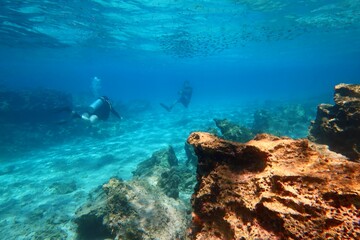 School of fish and pair of scuba divers exploring shallow sea in the clear water. Underwater photography from scuba diving. Seascape with fish, travel photo. Ocean, marine life and swimming divers.