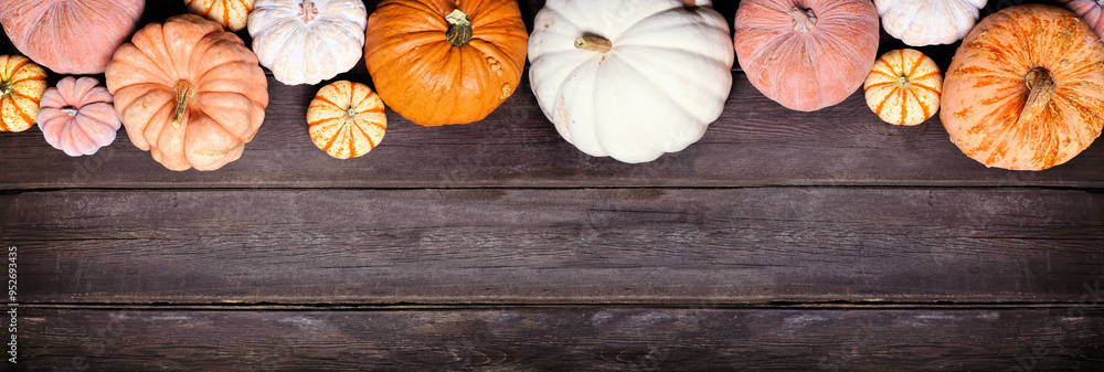 Poster Fall top border of pumpkins of various sizes and colors over a rustic dark wood banner background. Overhead view with copy space.