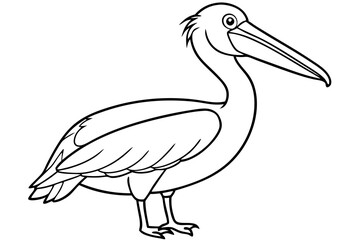 Pelican Line Art Vector Illustration