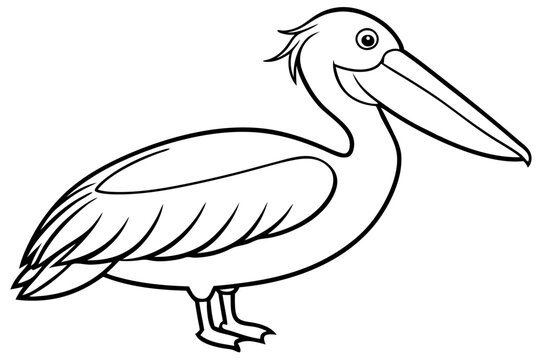 recommend clip art: Pelican Line Art Vector Illustration