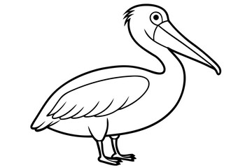 Pelican Line Art Vector Illustration