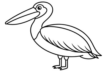 Pelican Line Art Vector Illustration
