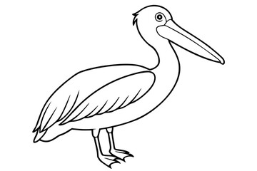Pelican Line Art Vector Illustration