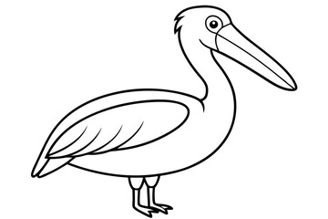 Pelican Line Art Vector Illustration