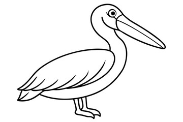 Pelican Line Art Vector Illustration