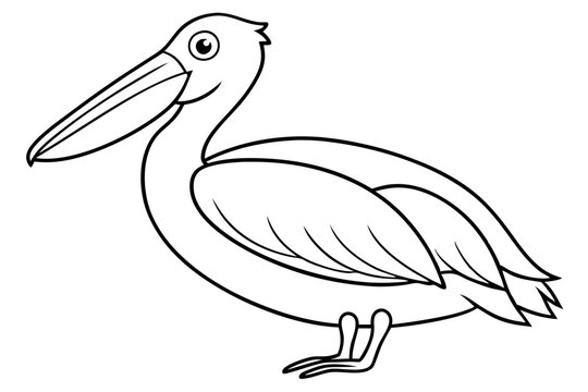 recommend clip art: Pelican Line Art Vector Illustration