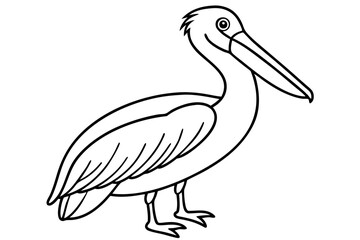 Pelican Line Art Vector Illustration