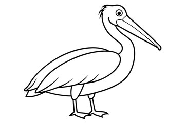 Pelican Line Art Vector Illustration