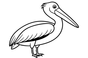 Pelican Line Art Vector Illustration