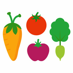 Set of 4 Vegetable Vector Illustrations on White Background