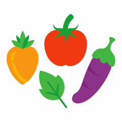 Set of 4 Vegetable Vector Illustrations on White Background