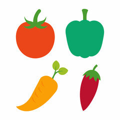 Set of 4 Vegetable Vector Illustrations on White Background