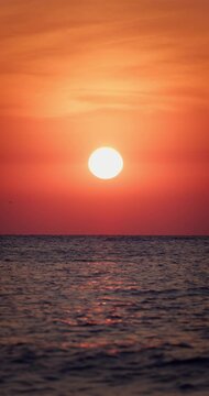 Vertical landscape of calm sea sunrise over ocean water with clouds and flying freedom birds in the sky video