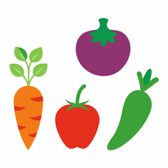 Set of 4 Vegetable Vector Illustrations on White Background