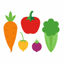 Set of 4 Vegetable Vector Illustrations on White Background