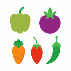 Set of 4 Vegetable Vector Illustrations on White Background