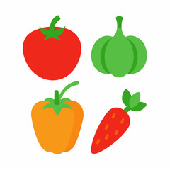 Set of 4 Vegetable Vector Illustrations on White Background