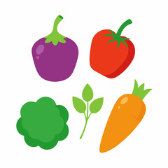Set of 4 Vegetable Vector Illustrations on White Background