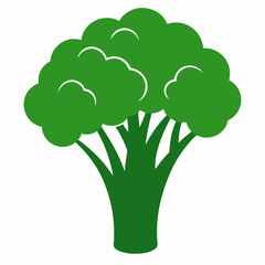 Broccoli Silhouette Vector Outline on White Background