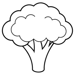 Broccoli Silhouette Vector Outline on White Background