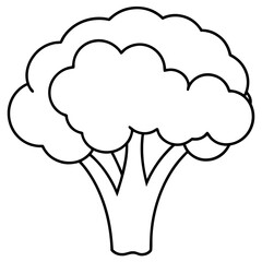 Broccoli Silhouette Vector Outline on White Background