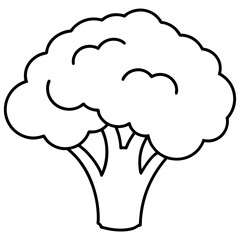 Broccoli Silhouette Vector Outline on White Background