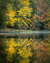Autumn maples reflected over the Ashuelot River in New Hampshire