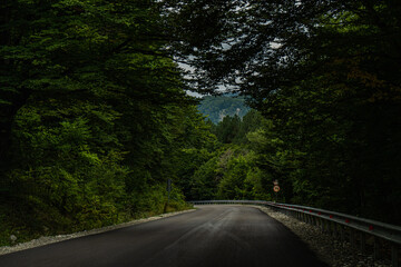Obraz premium Road in the Caucasus mountains of Georgia