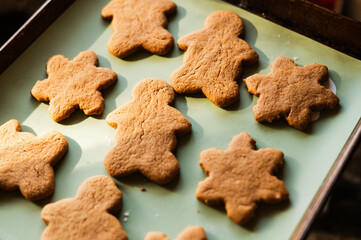 Golden brown gingerbread cookies cooling on a baking sheet