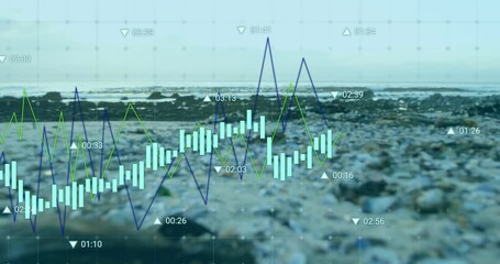 Financial data chart animation over rocky beach background - Powered by Adobe