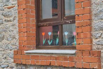 Flowers in the window