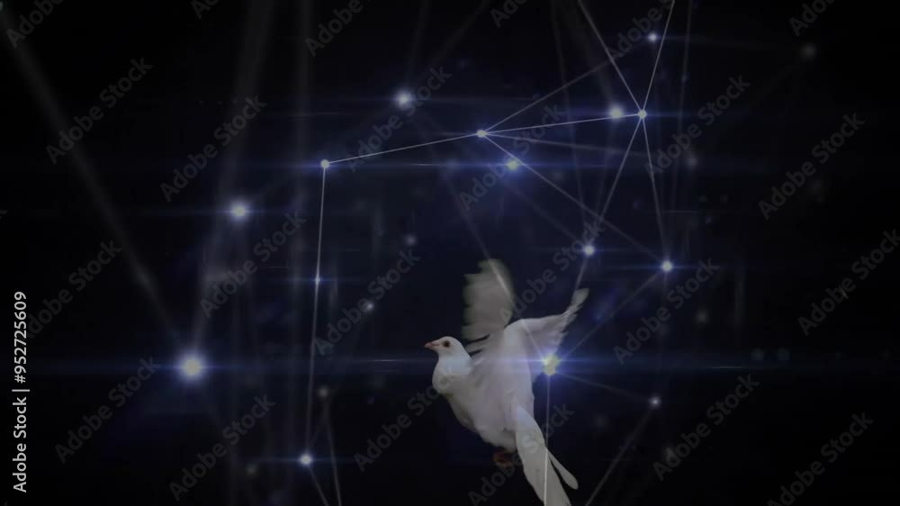 Poster bird flying over network connections and glowing nodes animation