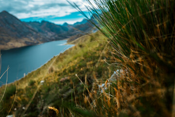 Ichu y detras un lago 