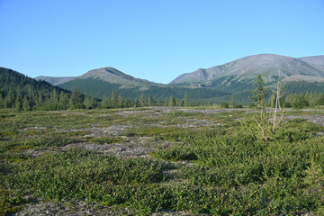 Fototapeta premium Mountain landscape.