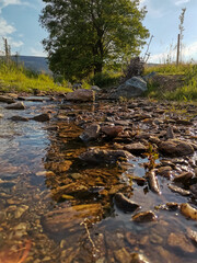 river in autumn