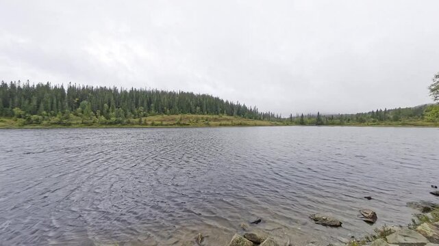 Looking at a lake during summer in Bymarka, Norway