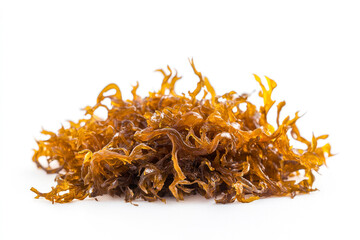 Irish sea moss, healthy organic raw seaweed, a close-up on a white background.