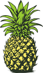 Fototapeta premium Classic Hand Drawing Pineapple Illustration