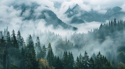 Misty mountain forest landscape with clouds drifting over peaks