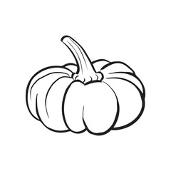 Ripe orange pumpkin isolated on white background. Cucurbita pepo. Fall harvest gourds. Healthy organic food concept. Vector vegetables illustration in flat style.