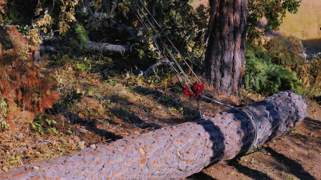 Block and Tackle with Steel Cable