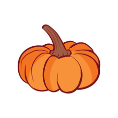 Ripe orange pumpkin isolated on white background. Cucurbita pepo. Fall harvest gourds. Healthy organic food concept. Vector vegetables illustration in flat style.