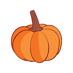 Ripe orange pumpkin isolated on white background. Cucurbita pepo. Fall harvest gourds. Healthy organic food concept. Vector vegetables illustration in flat style.